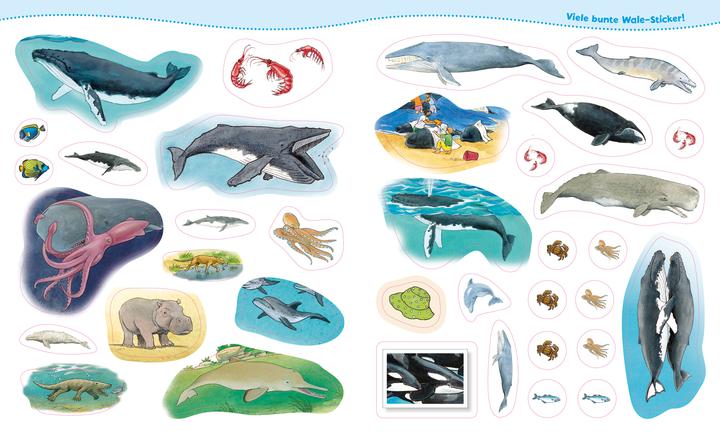 Actual product image Tessloff WAS IST WAS Junior activity booklet. Whales and dolphins. Games, puzzles, stickers