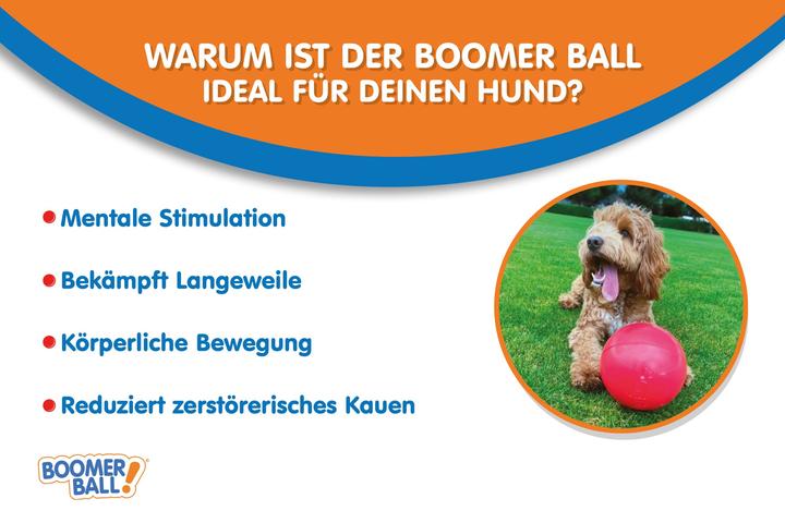 Produktbild Company of Animals Boomer Ball (Ballspielzeug Hund)