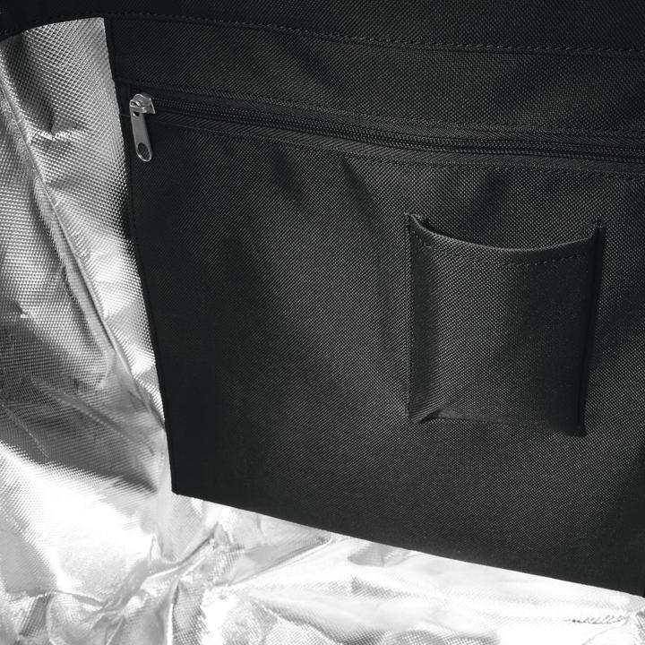 Actual product image reisenthel Carrycruiser Iso (40 l)