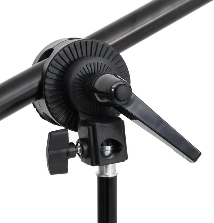Image du produit VidaXL Amerigo (40 cm, 210 cm)
