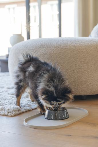 Immagine prodotto Designed by Lotte Ciotola per cani Meis (0.16 l)