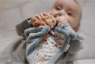 Immagine prodotto Little Dutch Panno per coccole volpe Forest Friends GRS colorato