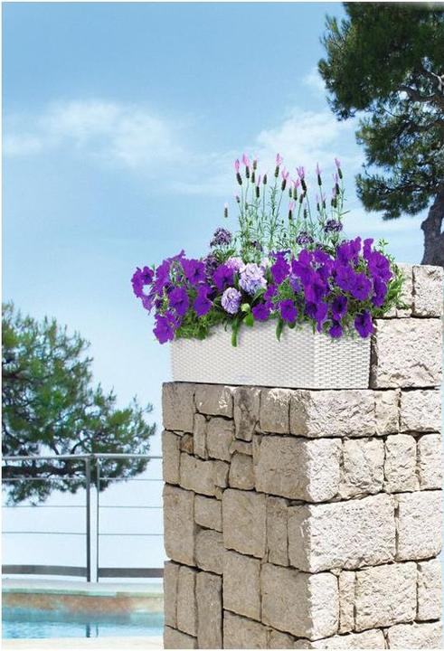 Image du produit Lechuza Chalet Balconera (19 cm)