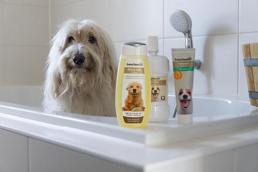 Produktbild Beeztees BZ MUNDWASSER HUND/KATZ 300ML (Hund, 300 ml)