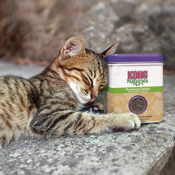 Image du produit KONG Premium CatNip (Jouets avec herbe à chat)