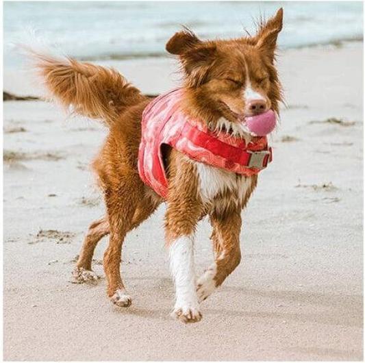 Immagine prodotto Hurtta Vita Salvatore ECO corallo circa 40-80kg (L, Accappatoio per cani)