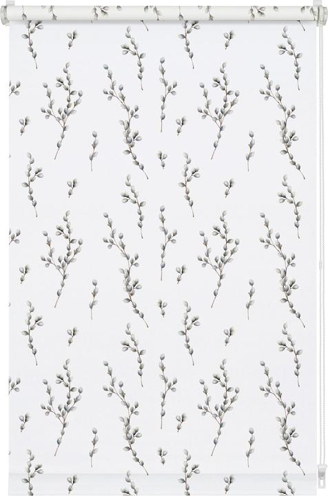 Immagine prodotto Gardinia Tenda a rullo EASYFIX Digiprint willow catkin (50 x 150 cm)