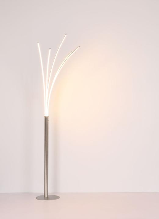Actual product image Globo Bizzy