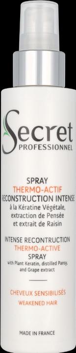 Actual product image Phyto Secret Professional (Hair paste, 150 ml)