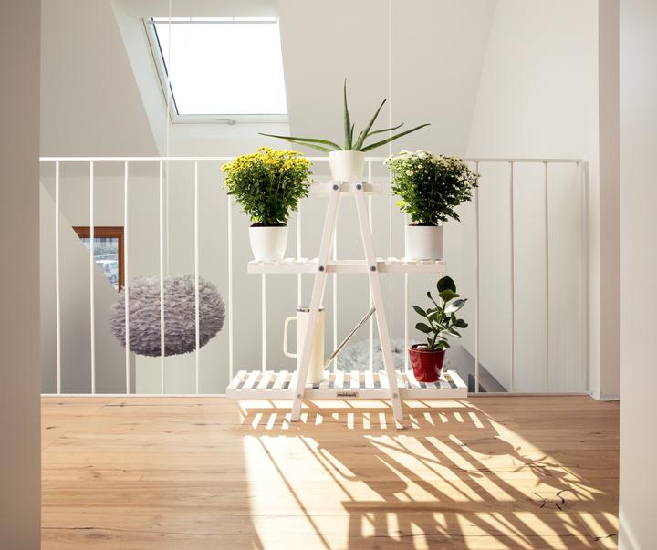 Immagine prodotto Needs&Wants Blumenregal "Bloomy1" mit 3 Etagen, Fichte (weiss)
