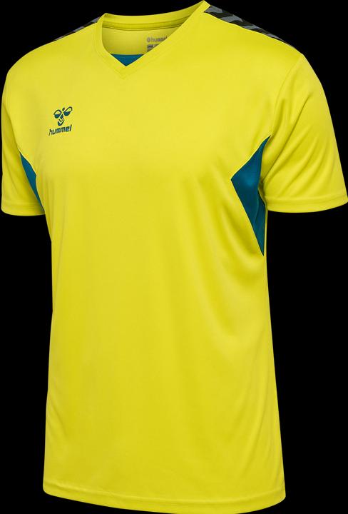 Image du produit hummel Hmlauthentic Pl Jersey S/S (M)