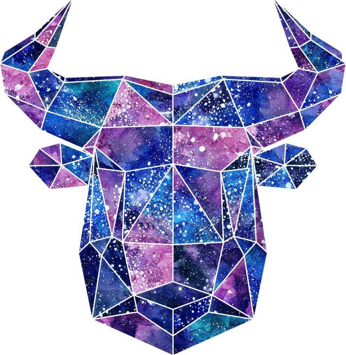 Immagine prodotto Trenddeko Poligono Galaxy Testa di toro (29 x 30 cm)