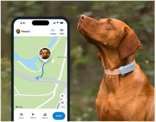 Produktbild Tractive GPS Tracker Dog 6 (Hund)