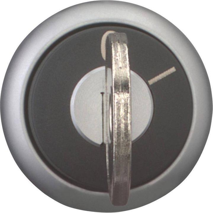 Actual product image Eaton Electric GmbH Key button 2 positions rast. M22-WRS-MS8