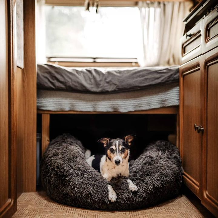 Image du produit District 70 Lit pour chien District70 duvet Donut (Chien)