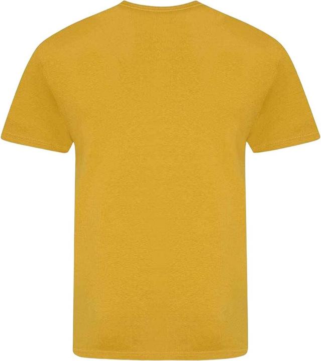 Actual product image Awdis Unisex Adult The 100 T-Shirt (L)