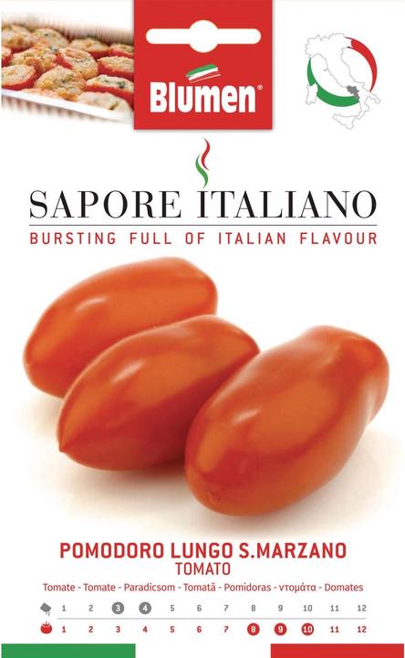 Immagine prodotto Blumen Pomodoro Lungo San Marzano (Semi di verdura)