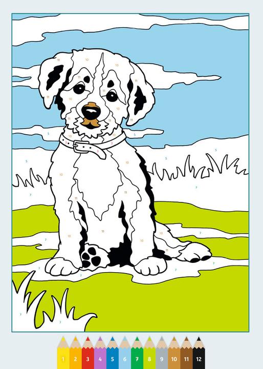 Immagine prodotto Ravensburger CreArt Dipingere con i numeri a partire da 5: bambini animali