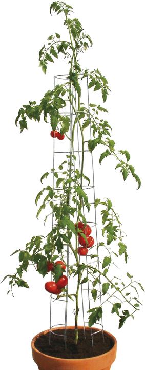 Produktbild Bellissa Tomatenturm (12 cm, 12 cm)