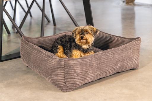 Productafbeelding Designed by Lotte Geribbeld (Hond)