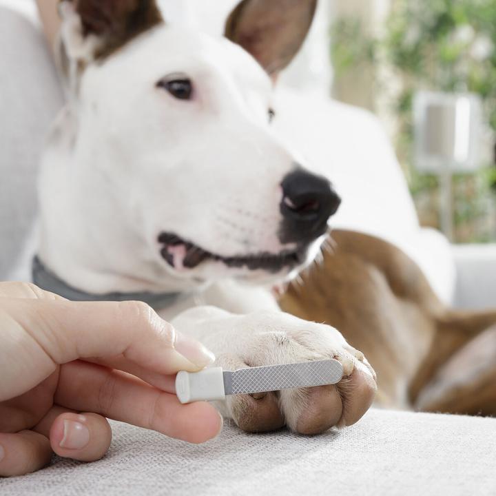 Immagine prodotto InnovaGoods Tagliaunghie con luce LED per cani e gatti (Gatto, Cane)