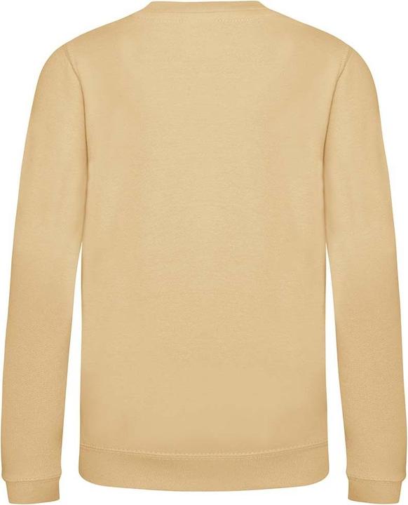 Actual product image Awdis Just Hoods sweatshirt (92)