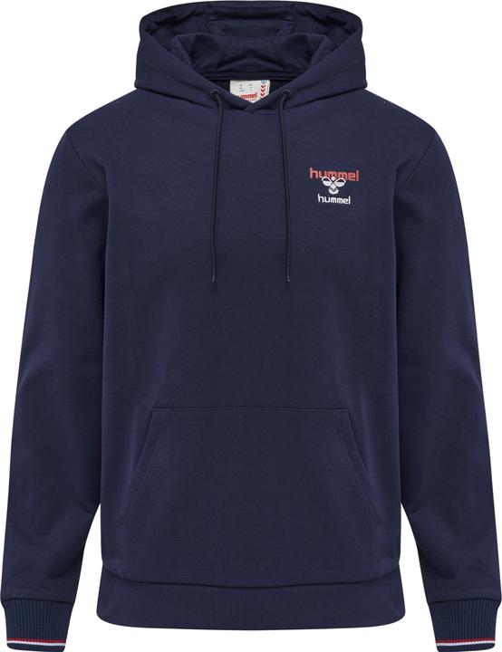 Actual product image hummel Ic Dayton Hoodie (S)