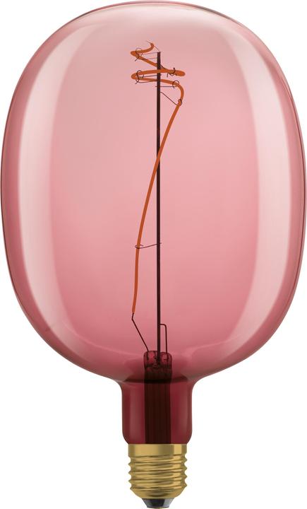 Actual product image Osram Vintage 1906 (E27, 4.50 W, 220 lm, 1 x, G)