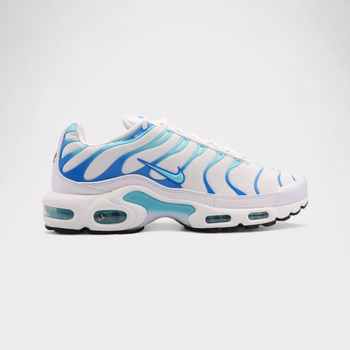 Nike Air Max Plus (41)