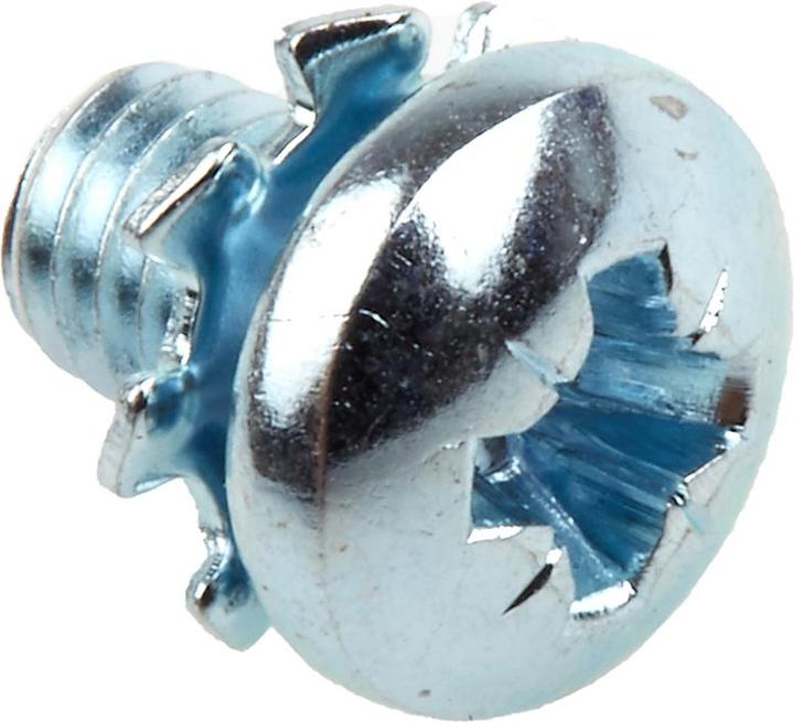 Immagine prodotto Rs Pro Viti con rondella dentata M4x6mm