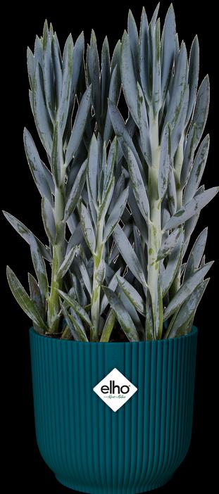 Produktbild Elho Vibes (29.50 cm)
