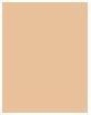 Immagine prodotto Shiseido Fond de Teint rivitalizzante n. 330 (330 Bambù)