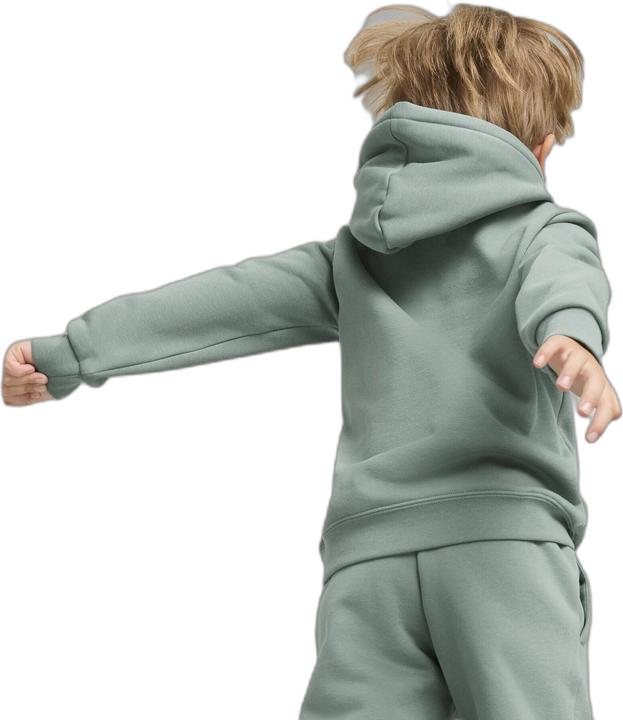 Actual product image Puma ESS No. 1 Logo Hoodie FL PS (116)