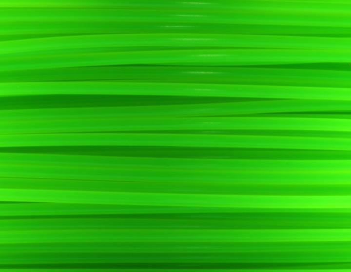 Productafbeelding FlashForge Draad (PLA, 1.75 mm, 1000 g, Groen)