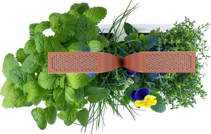 Actual product image Véritable Smart (18.50 cm)
