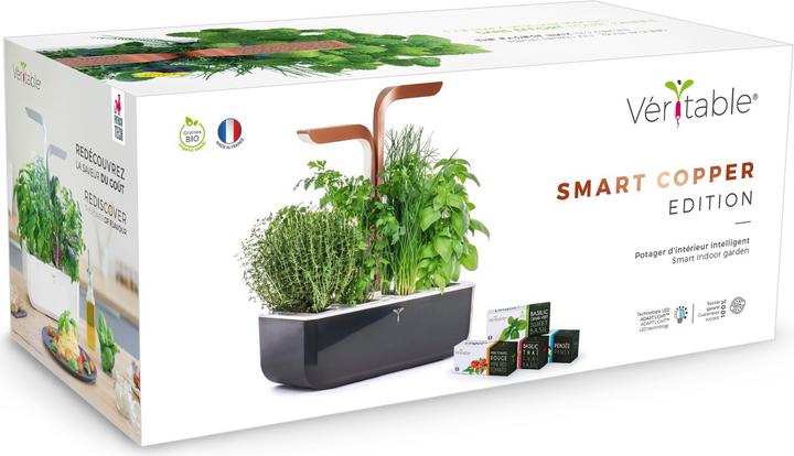 Actual product image Véritable Smart (18.50 cm)