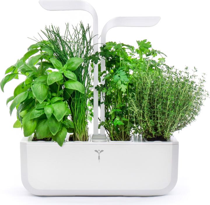 Produktbild Véritable Classic (18.50 cm)