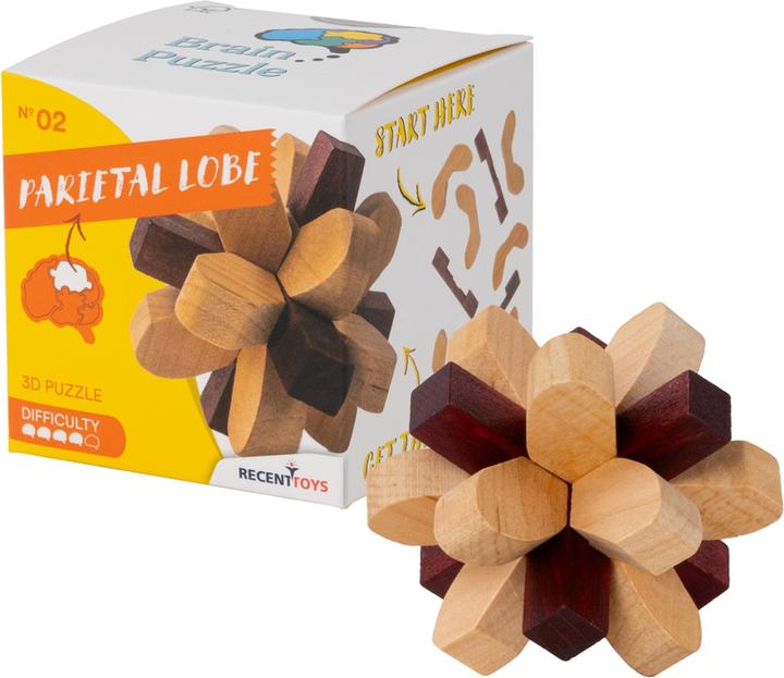 Produktbild Recent Toys Brain Puzzle Nr.2 Parietal Lobe (Deutsch)