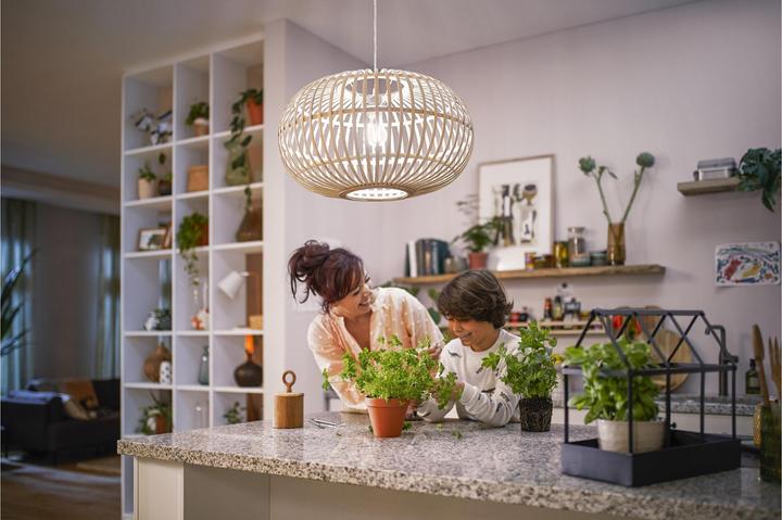 Image du produit Philips LED Classic (E27, 2.30 W, 485 lm, 1 x, A)