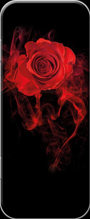 Image du produit Aristo Pot à crayons Red Rose