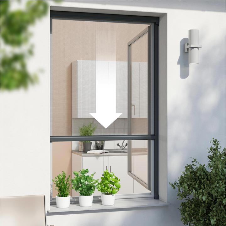 Immagine prodotto Windhager Tenda a rullo (160 x 160 cm)
