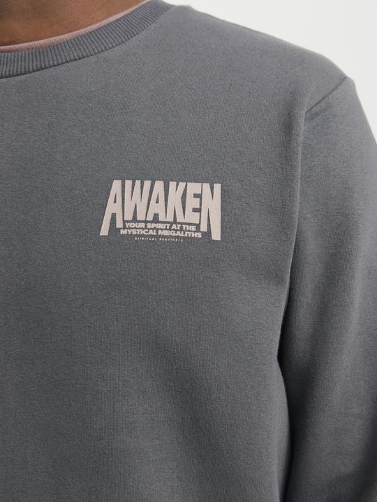 Produktbild Jack & Jones Rückenprint Sweatshirt Sweatshirt (M)