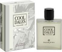 Dales&Dunes Parfum Cool Dales 100ml EDT homme (100 ml)
