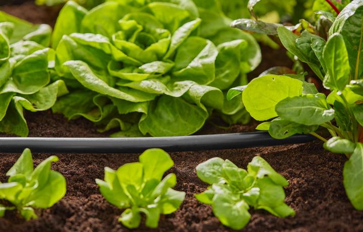 Produktbild Gardena Verlegerohr 1/2" x 50m (Tropfschlauch + Tropfrohr)