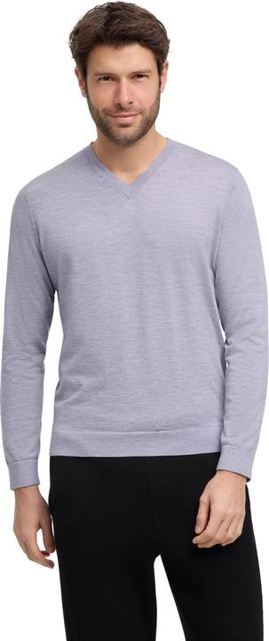 Falke Herren (S)