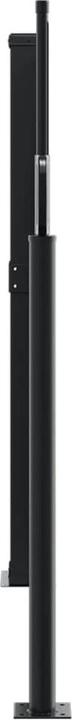 Actual product image VidaXL Extendable side awning (10 m)