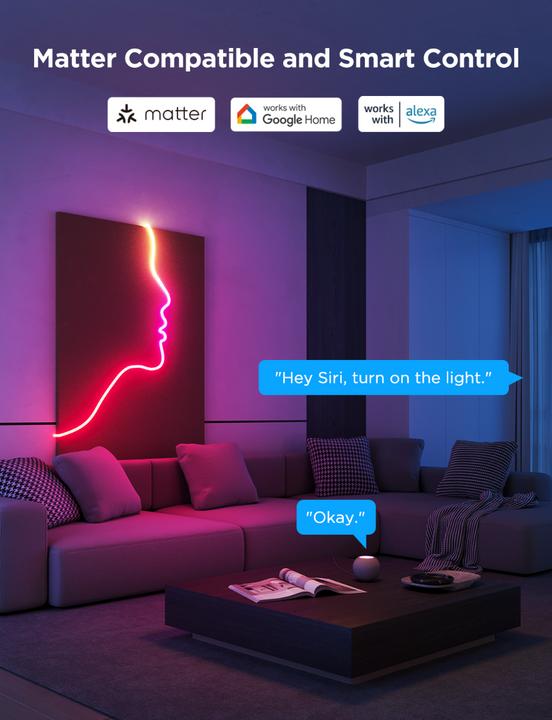 Image du produit Govee Neon (RGBIC, 300 cm, Intérieur)