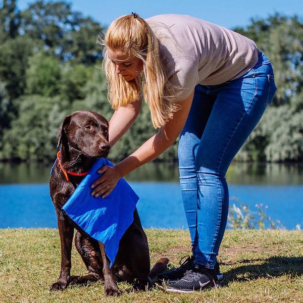 Actual product image Nobby Speedy Dry Comfort towel (Dog)