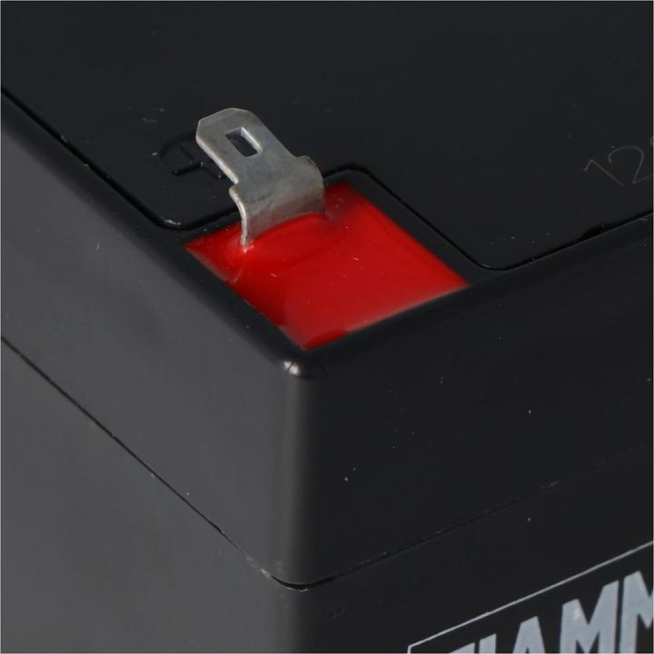 Actual product image Fiamm Battery FG20451 (12 V, 4.50 Ah)