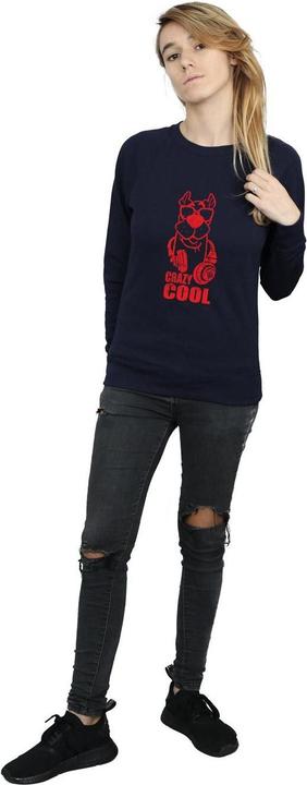 Actual product image Scooby Doo Womens/Ladies Crazy Cool Sweatshirt (S)